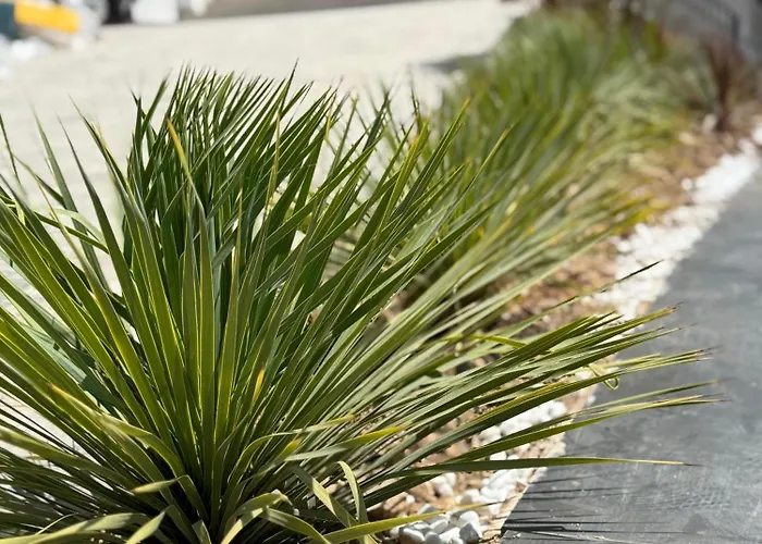 Cayo Exclusive ホテル Vlorë